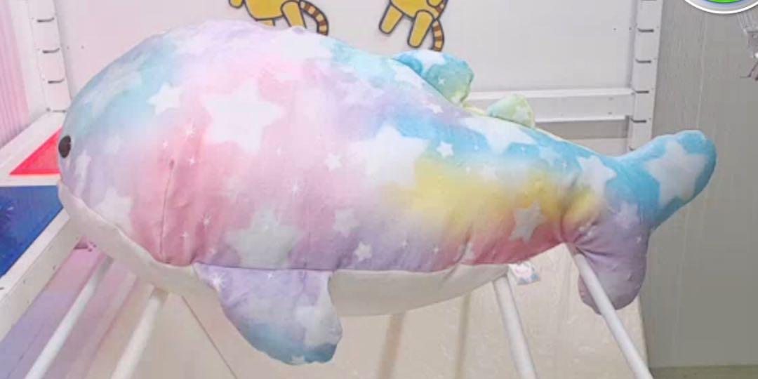 toreba whale shark