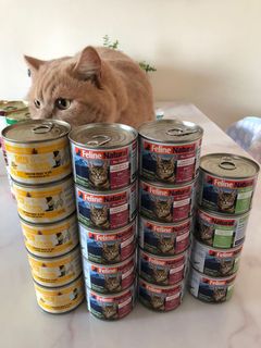 （分類：）位於 。 由 emilook 提交（商品編號 1098775949，圖片 1）。簡介： 。