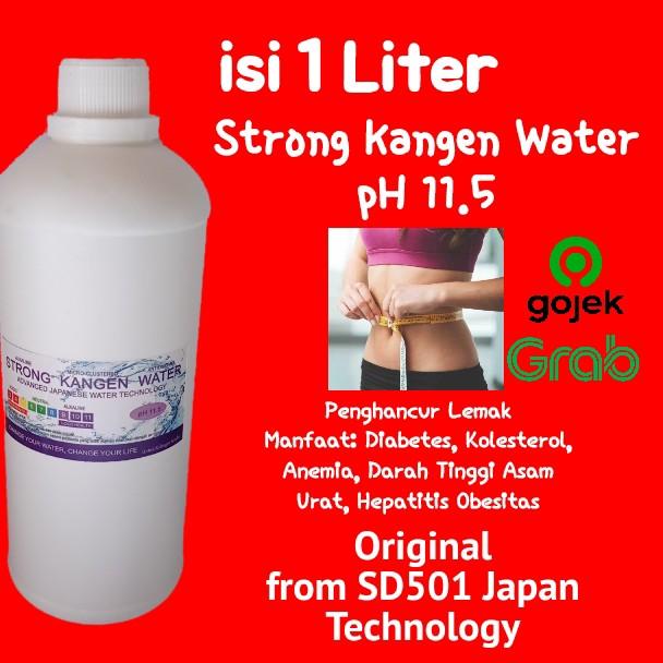 1L strong kangen water pH11.5 original dr mesin sd501 jepang terapi diet Kesehatan Kecantikan Kulit Sabun Tubuh di Carousell
