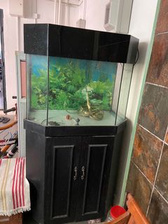 (Category: ) located in . Submitted by faye28 (Listing ID 1098770054, Image 1). Description: .
