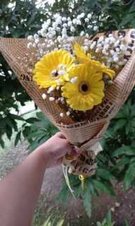 (Category: ) located in . Submitted by dianne0207 (Listing ID 1098853080, Image 1). Description: .