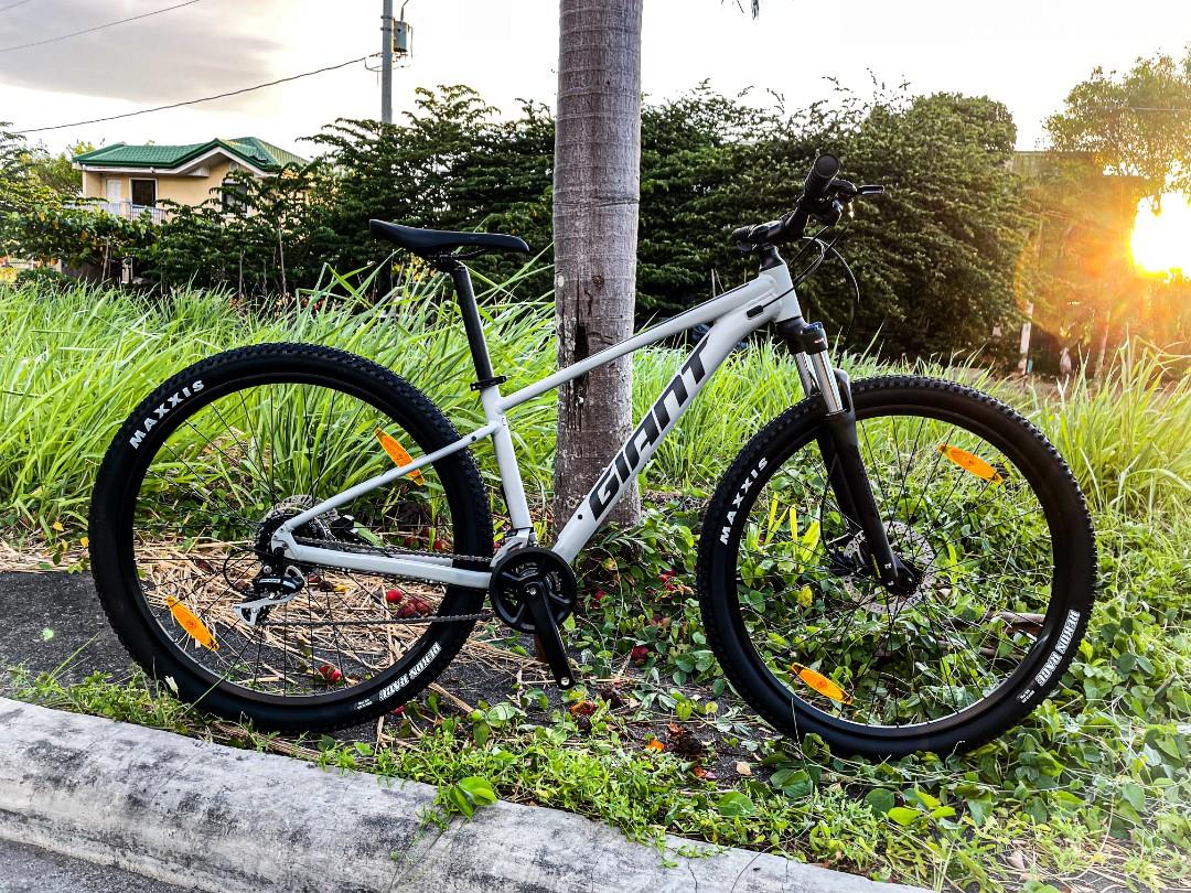 talon 2 29er
