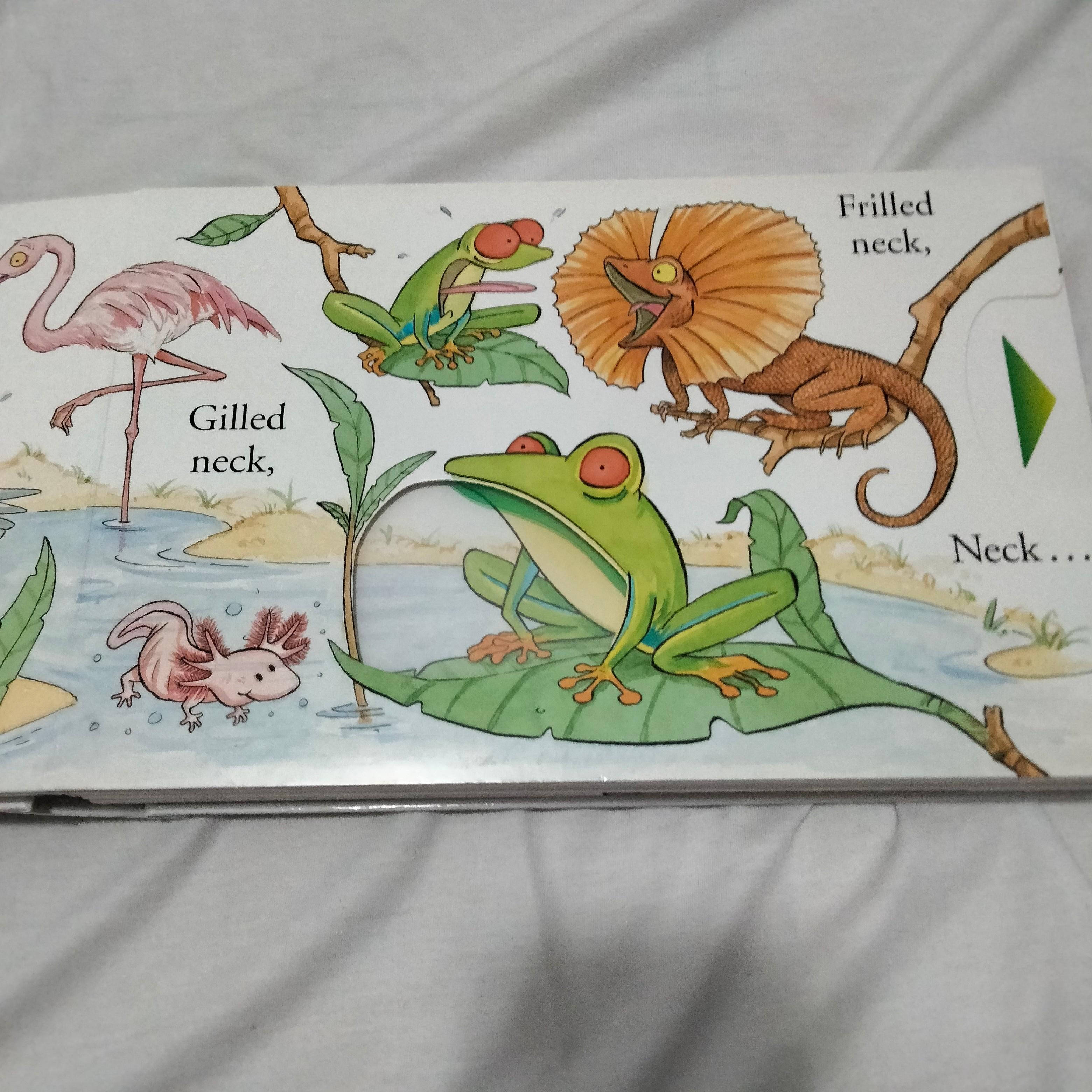 Heads Matthew Van Fleet, Buku & Alat Tulis, Buku AnakAnak di Carousell