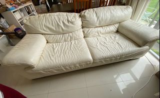 (Category: ) located in . Submitted by ivorycasper (Listing ID 1098671656, Image 1). Description: .