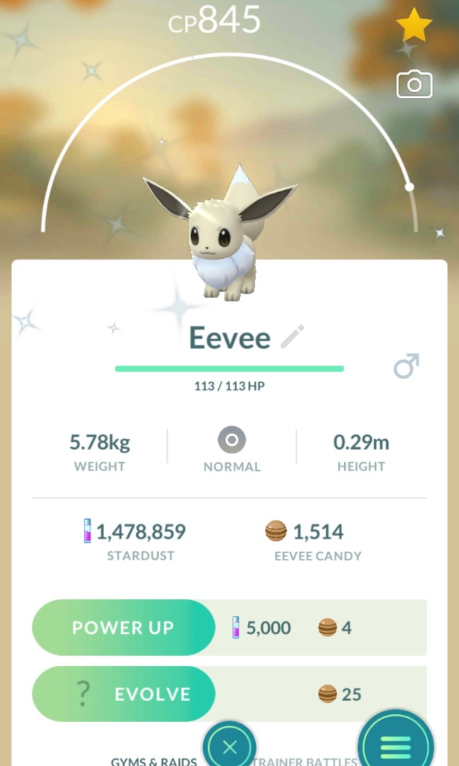 Shiny Eevee Pokemon Go Video Gaming Gaming Accessories In Game Products On Carousell