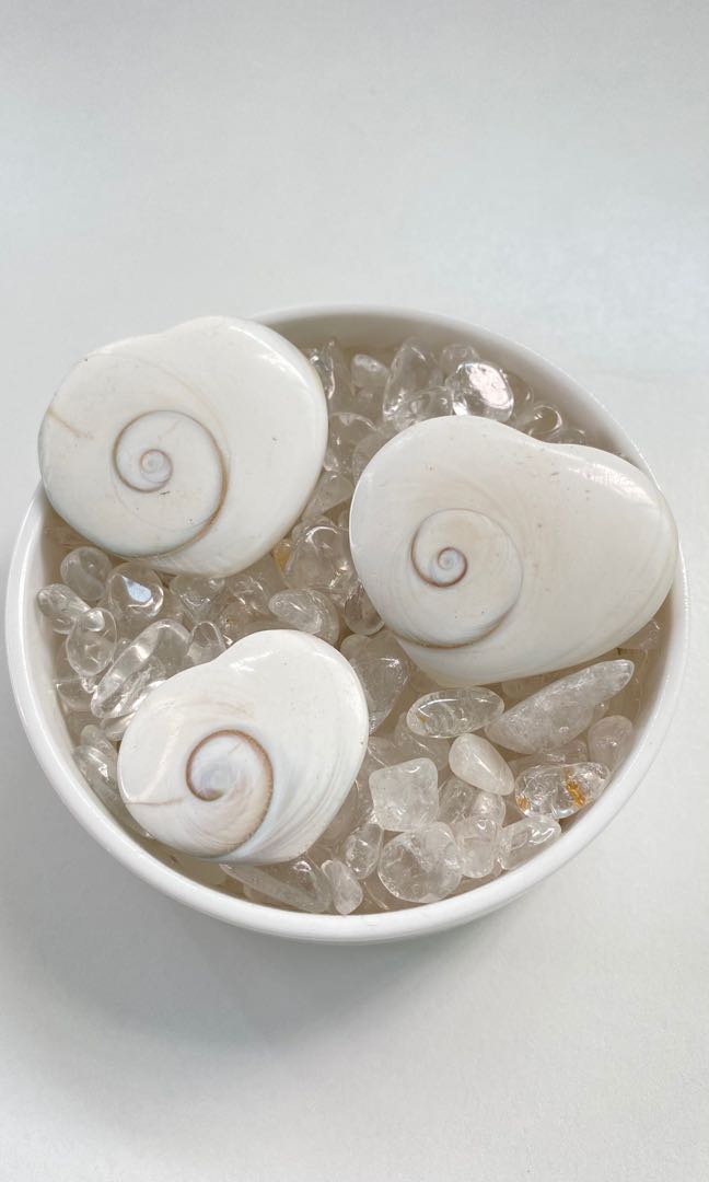 Shiva shell heart, Everything Else on Carousell