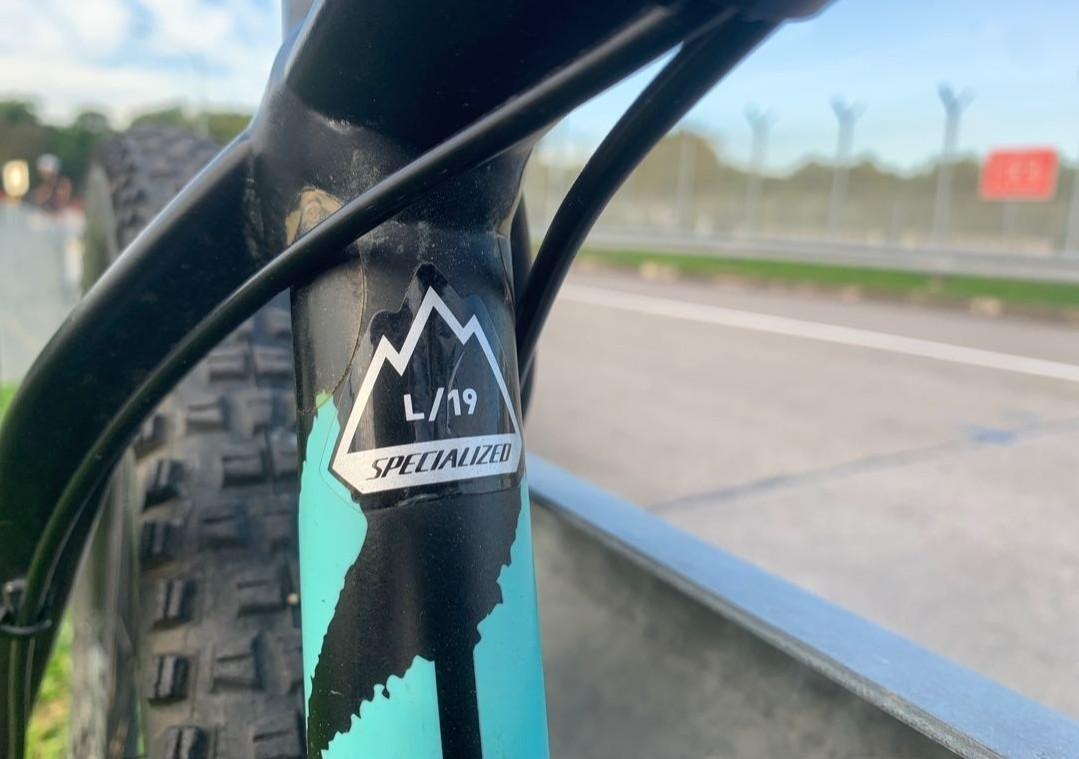 Specialized crave best sale expert 29