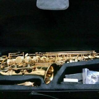 [TERKENAL!] Saxophone Paladin Alto Gold Original