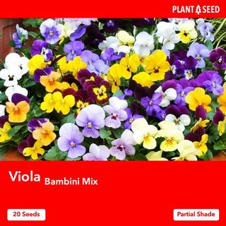 (Category: ) located in . Submitted by plantaseed (Listing ID 1098745499, Image 1). Description: .