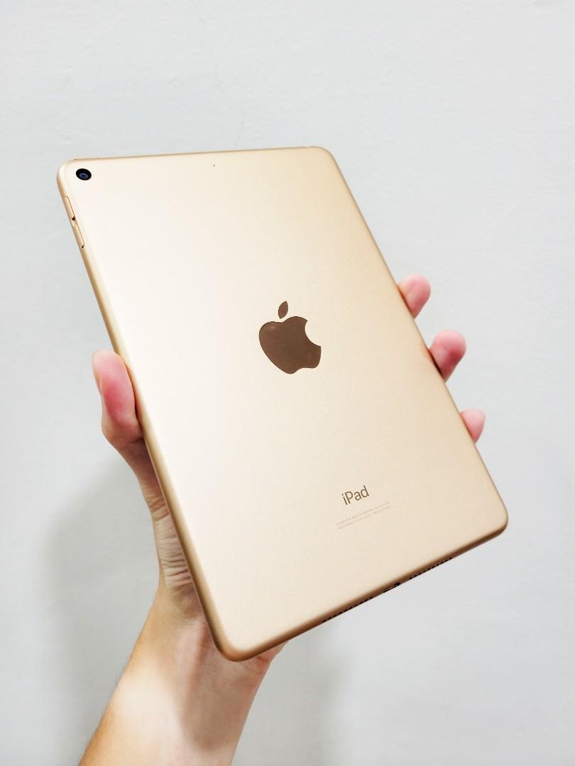 超美品 iPad mini 5 WiFi 256GB 使用頻度少-