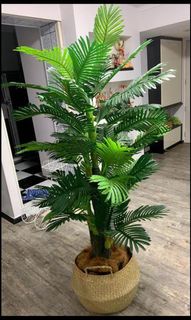 (Category: ) located in . Submitted by intern21 (Listing ID 1098997990, Image 1). Description: .
