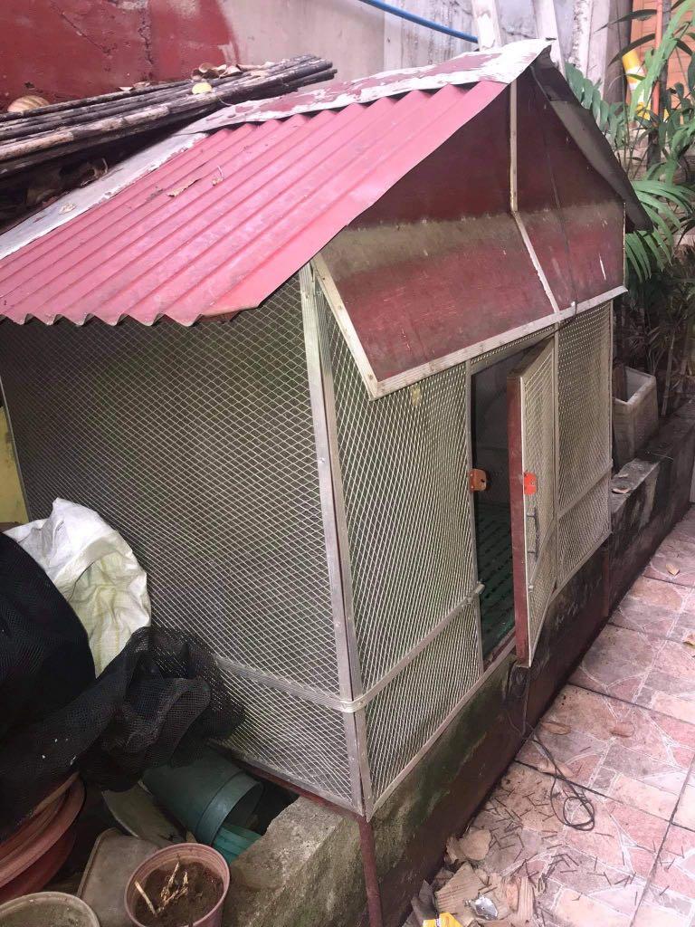 Big dog cage, Pet Supplies, Homes & Other Pet Accessories on Carousell