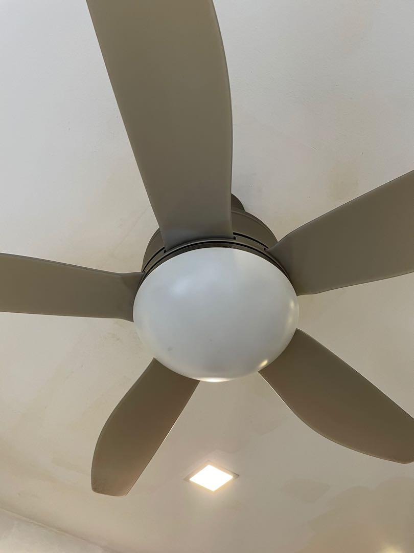 Crestar ceiling fan with remote and light, Furniture & Home Living