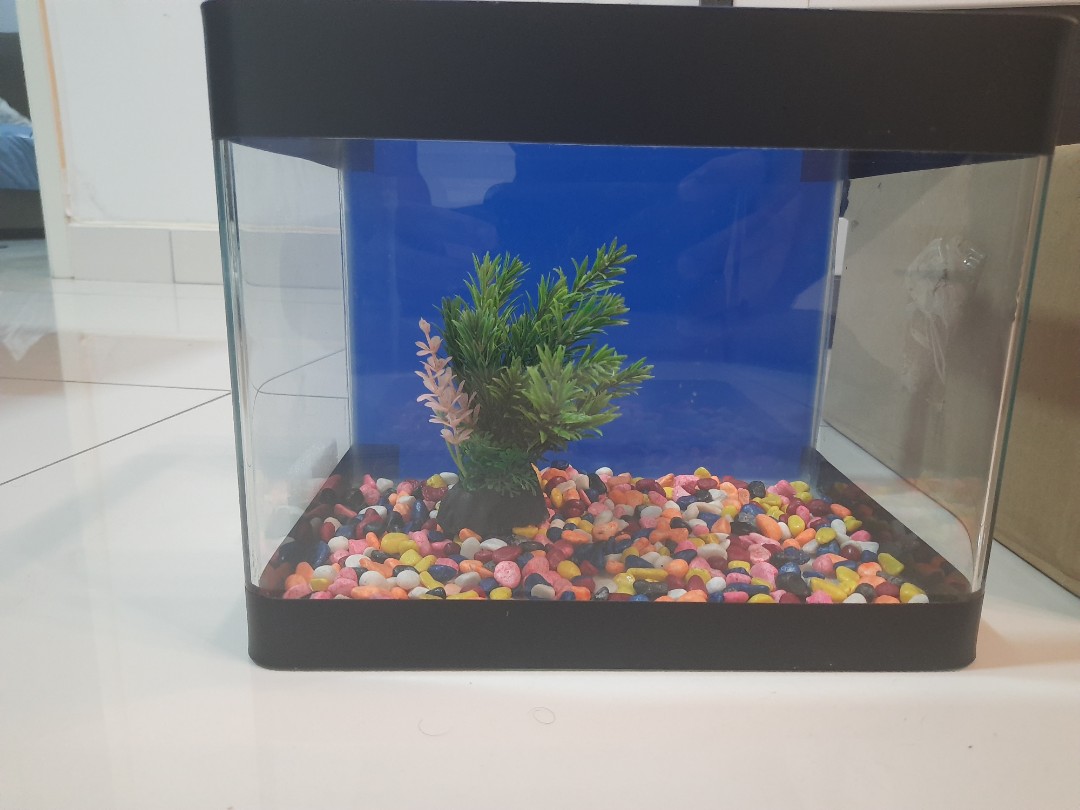 Fish tank Pebbles Antichlorine Food, Pet Supplies, Homes & Other