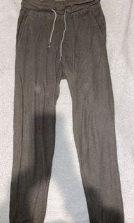 Glassons Khaki Pants