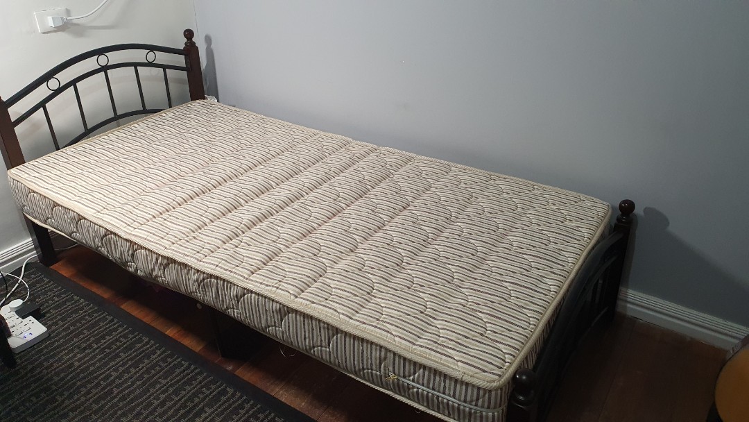 Mandaue foam top single bed