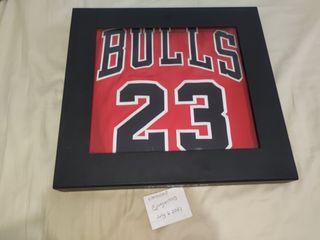 Nike Michael Jordan Icon Edition Authentic (Chicago Bulls)