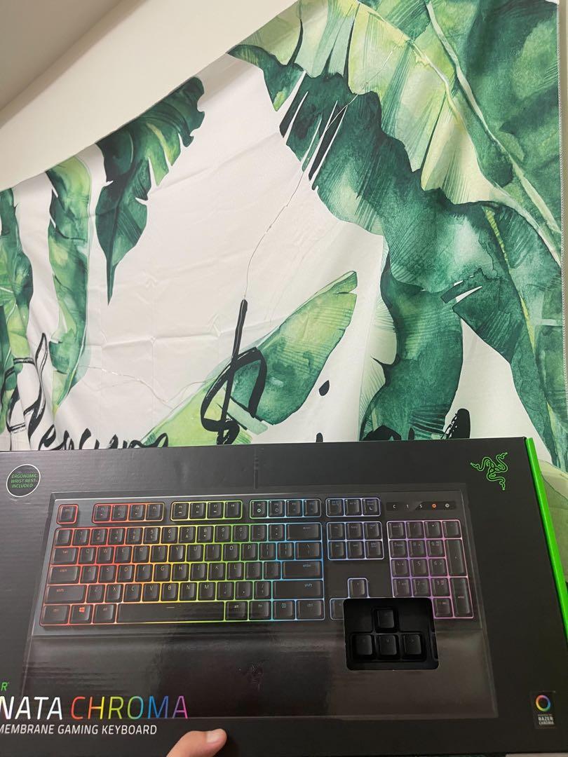 Razer雷蛇雨林狼蛛幻影版 哩哩扣扣 其他在旋轉拍賣