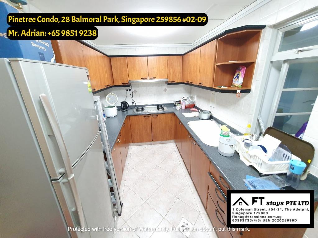 Condo Near Newton MRT/Near Orchard MRT/Stevens MRT