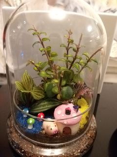 (Category: ) located in . Submitted by mightygem_05e371 (Listing ID 1098895049, Image 1). Description: .