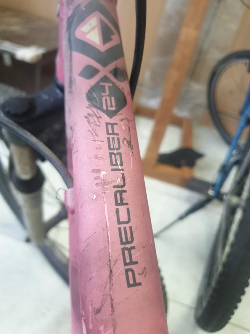 Gary fisher 24 on sale inch mountain bike
