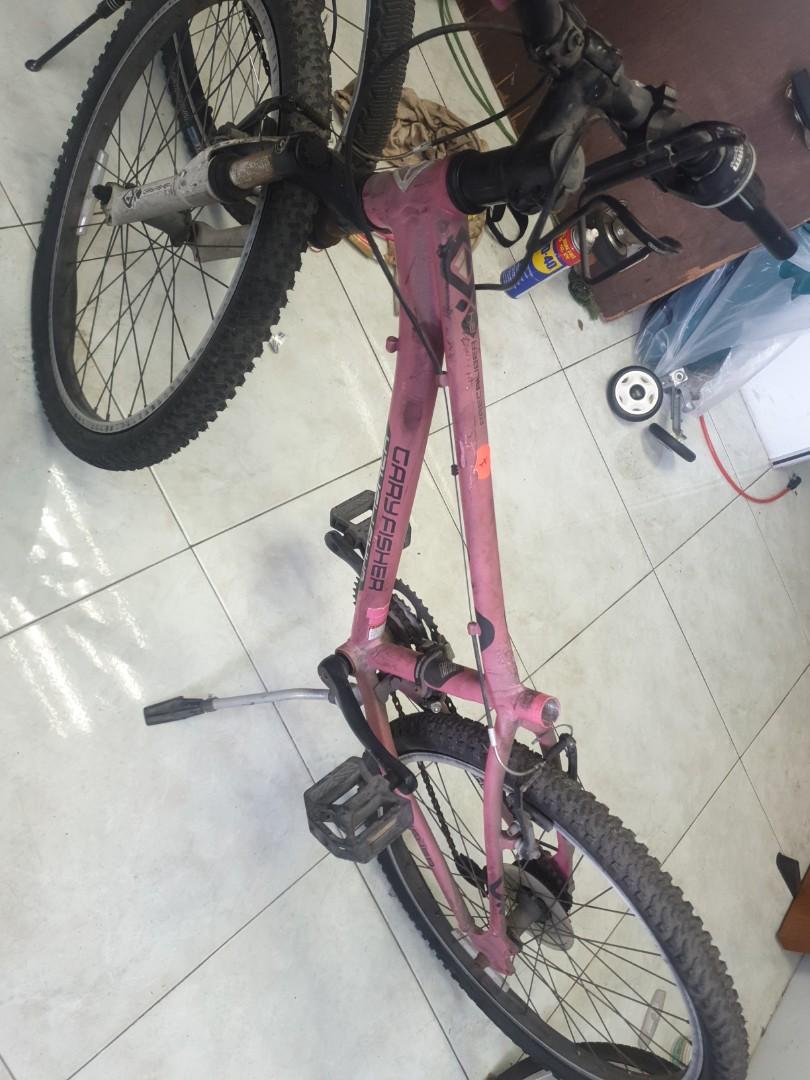 Gary fisher precaliber 24 hot sale