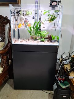 (Category: ) located in . Submitted by mk1986 (Listing ID 1099095645, Image 1). Description: .