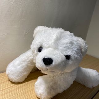 由 b0900522891 (刊登 ID 1099252454，圖片 1) 提交，位於 的 (類別：)，說明：。