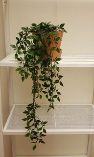 (Category: ) located in . Submitted by michts (Listing ID 1099243972, Image 1). Description: .