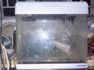 （分類：）位於 。 由 macroso0810 提交（商品編號 1099280867，圖片 1）。簡介： 。