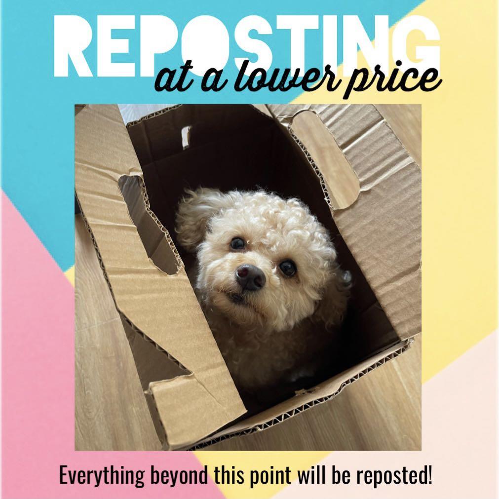 REPOSTING at a lower price (Category: Everything Else Others) located in Quezon City. Submitted by freirbe (Listing ID 1099295755, Image 1). Description: .