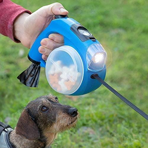 Retractable in ground dog leash Clearance