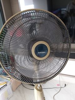 (Category: ) located in . Submitted by luckyguy1997 (Listing ID 1099178911, Image 1). Description: .