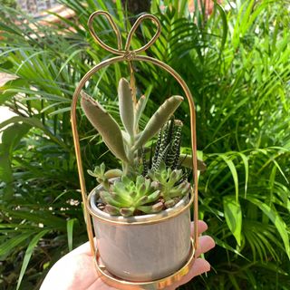 （分類：）位於 。 由 tc_5001 提交（商品編號 1099311862，圖片 1）。簡介： 。
