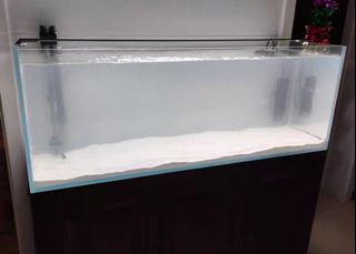 (Category: ) located in . Submitted by aquaticstore (Listing ID 1099443507, Image 1). Description: .