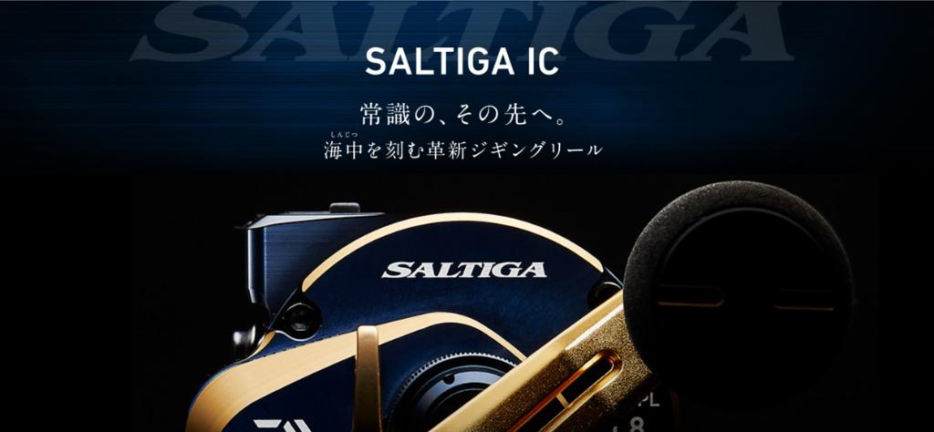 Daiwa 21 Saltiga IC, Sports Equipment, Fishing on Carousell