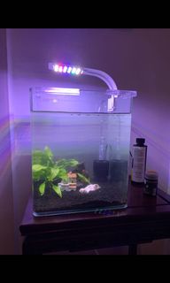 (Category: ) located in . Submitted by karakchai (Listing ID 1099345304, Image 1). Description: .