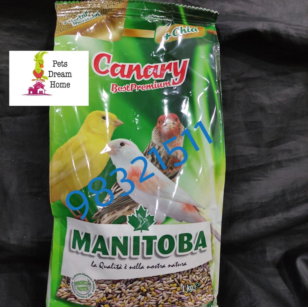 Manitoba Best Premium Canary Pet Supplies Pet Food On Carousell