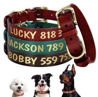 Personalized pet accessories Clearance