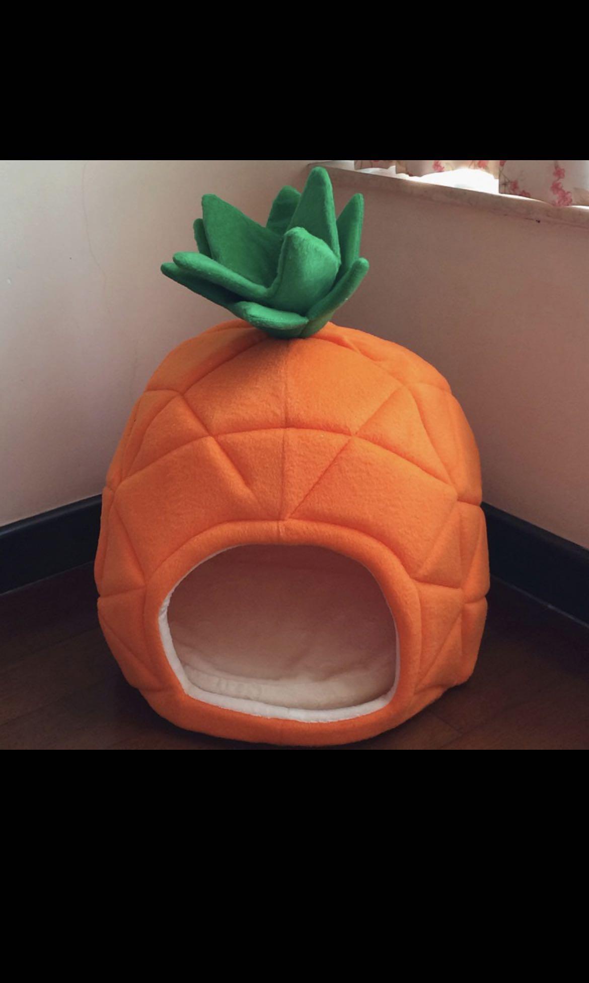 Pineapple pet house, Pet Supplies, Homes & Other Pet Accessories on