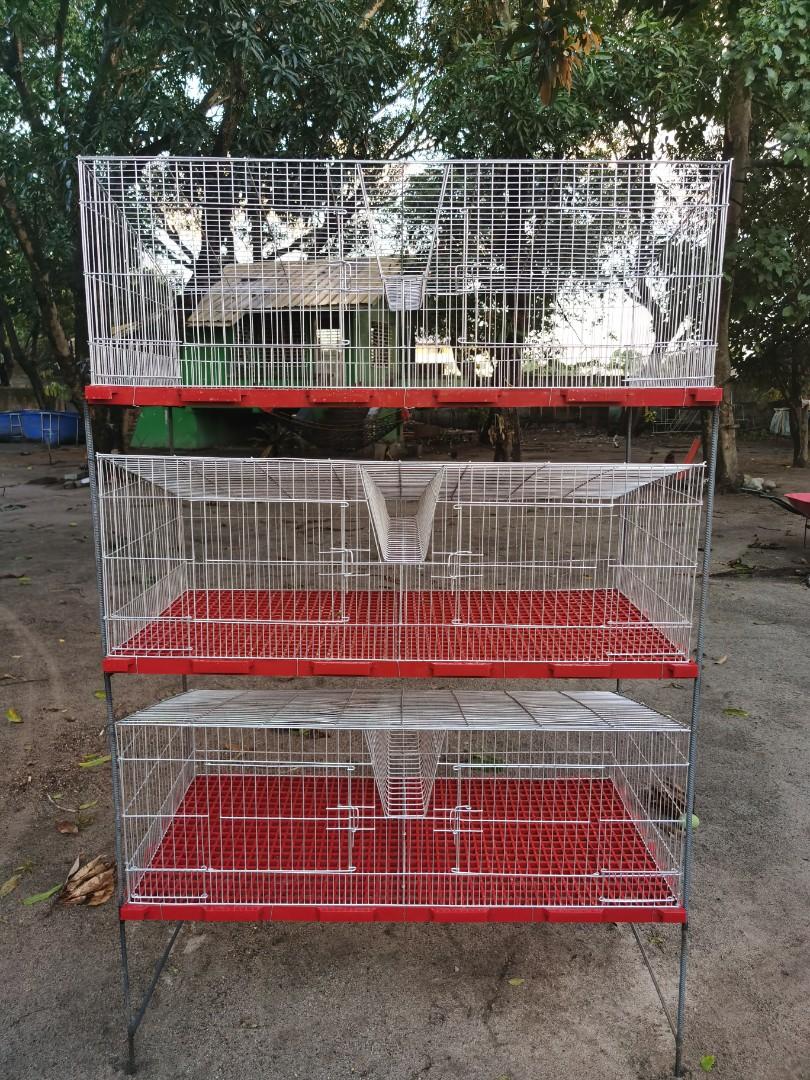 rabbit crates