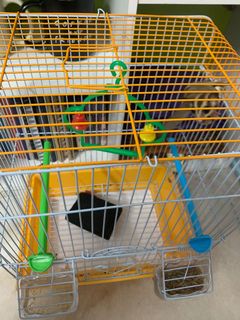 (Category: ) located in . Submitted by aisyizy (Listing ID 1099378625, Image 1). Description: .
