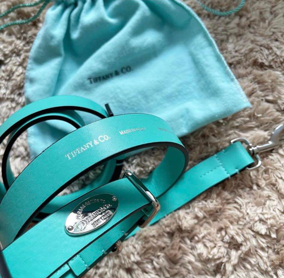 Tiffany and co dog sales