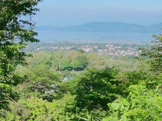 Farm Lot for Sale Tanay, Rizal