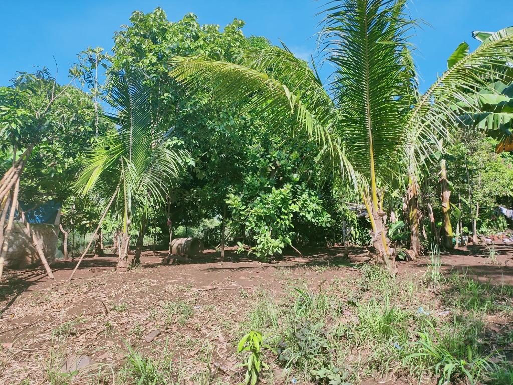 Farm Lot for Sale Tanay, Rizal, Property, For Sale, Lot on Carousell