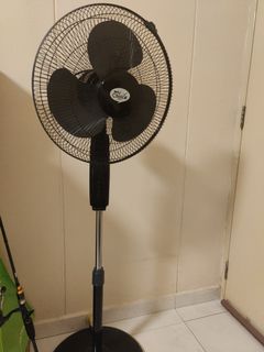 (Category: ) located in . Submitted by teddybear1102 (Listing ID 1099690218, Image 1). Description: .