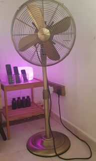 (Category: ) located in . Submitted by fly_high_999 (Listing ID 1099564293, Image 1). Description: .