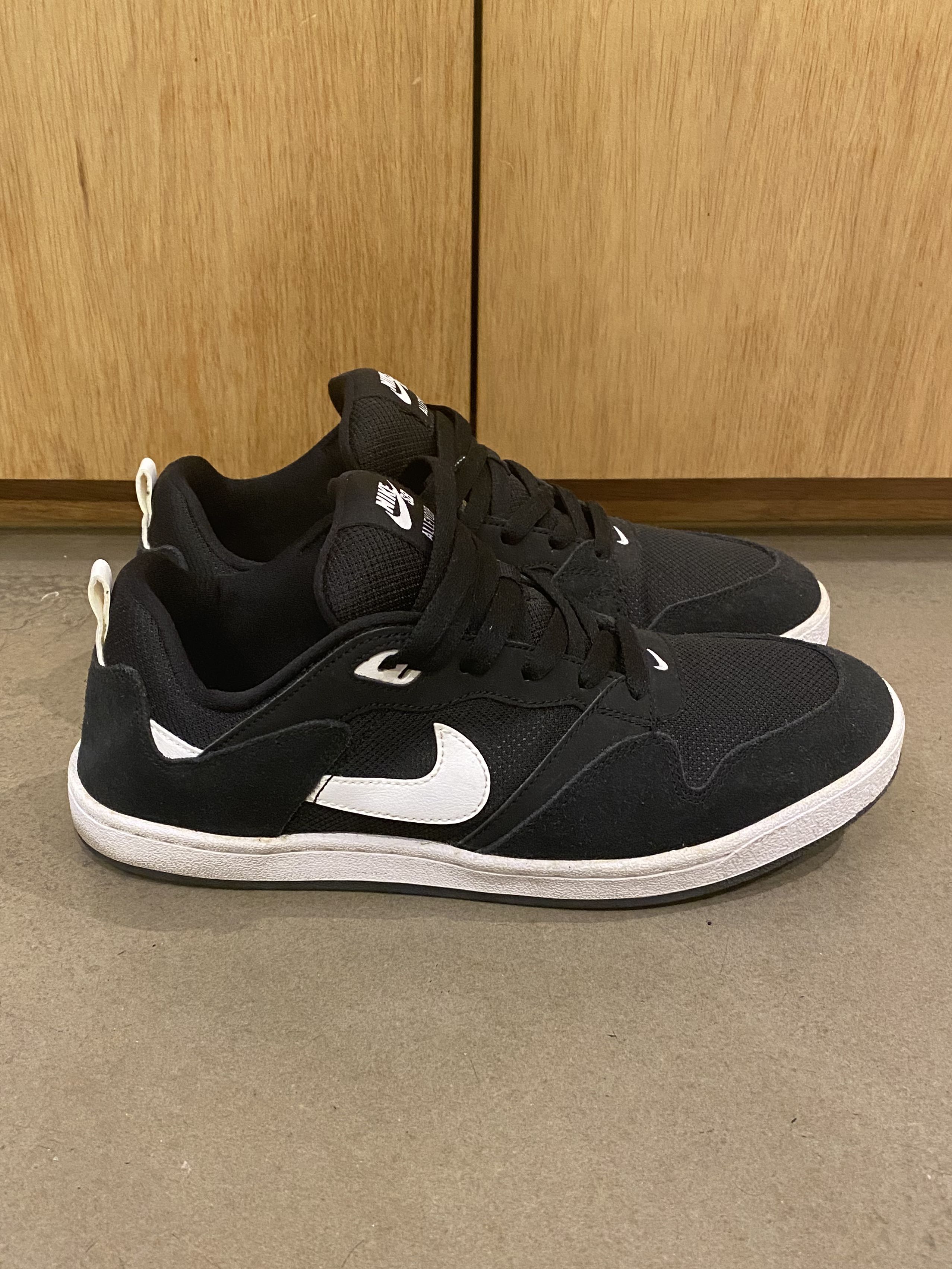 nike sb alleyoop
