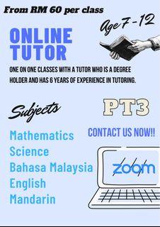 Online Tutor for PT3 students