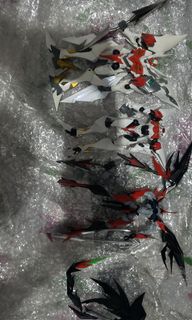 （分類：）位於 。 由 astray0408 提交（商品編號 1104320246，圖片 1）。簡介： 。